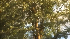 Cazals - Time Of Our Lives