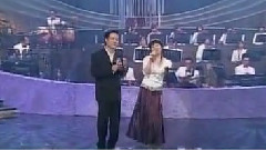 园仔花与少年家