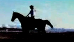 Múm - The Island of Children's Children