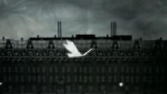 Darren Hayes - Who Would Have Thought