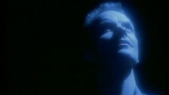 Sting - Fields of Gold