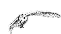 Mindy Smith - Anymore Of This