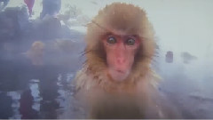 You Looked Better A Brunette