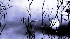 Secret Garden - When Darkness Falls