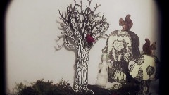 Marissa Nadler - The Sun Always Reminds Me Of You