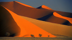 风景 - 纳米布沙漠