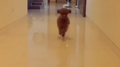 崔秀英Instagram 更新Cut