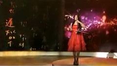 民乐群星 - 弦上精灵