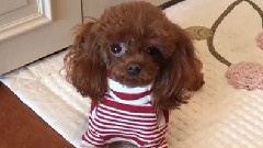 金孝渊Instagram 更新Cut