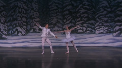 Даніель Дауеса