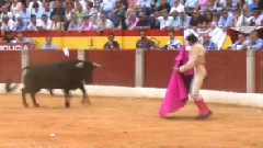 Julio Parejo Superlenta Almendralejo 2012