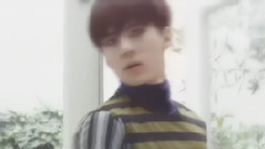 我已沉舟 - 最后岁月酿成花