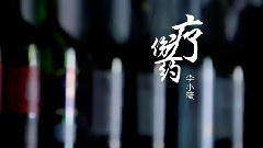 李小薇 - 疗伤药