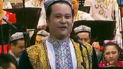 民乐群星 - 达坂城的姑娘