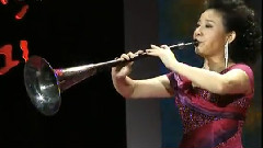 民乐群星 - 家乡情