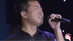 满文军 - 莺尾花