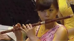 民乐群星 - 槐花几时开