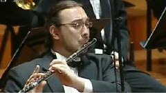 民乐群星 - 爱情