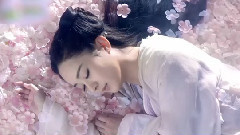 电视剧<花千骨>