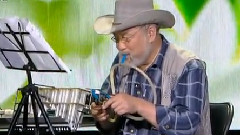 民乐群星 - 绿色奏鸣曲