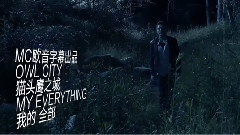 Owl City - My Everything