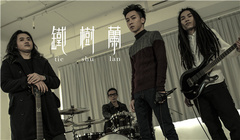 铁树兰 - 游戏.游戏