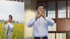 李春华 - 竹林深处 葫芦丝独奏