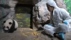 MBC Animals Yuri Cut