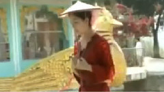 李春华 - 月光下的凤尾竹 葫芦丝独奏