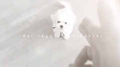 TAO更新candy相关:子弹飞,把宝宝吓跑