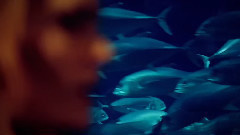 The Dø - Dust it Off