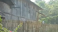 李春华,音乐短片 - 有一个美丽的地方 葫芦丝独奏