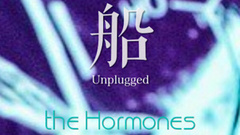 荷尔蒙小姐 - 船