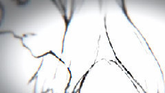 Nico - ココロの質量(きじねこX小峠舞)