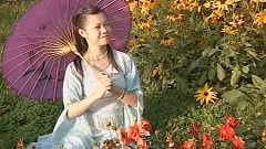 民乐群星 - 牧歌