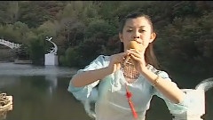 民乐群星 - 情深意长