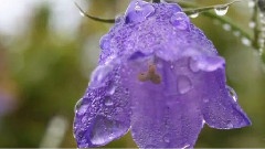 Giovanni Marradi - Magic Bells