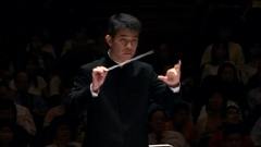 民乐群星 - 柳浪戏莺