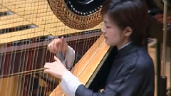 民乐群星 - 心儿醉了