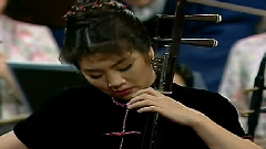 民乐群星 - 二泉映月