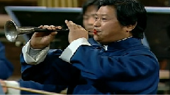 民乐群星 - 百鸟朝凤