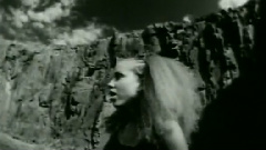 The Roots - Concerto Of The Desperado