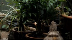 风景 - Jake And Angus