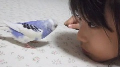 山崎まさよし - あなたしか知らない朝