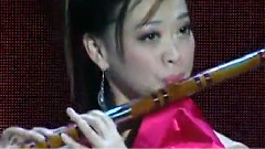 民乐群星 - 罗西尼主题变奏曲