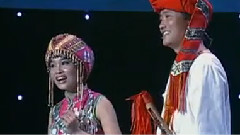 民乐群星 - 幸福歌