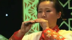 民乐群星 - 吉祥鸟