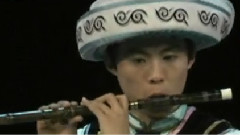 民乐群星 - 丁格拉梦幻