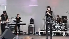 Eisblume - Liebe heisst Schmerz