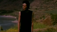 朴树 - 冲出你的窗口